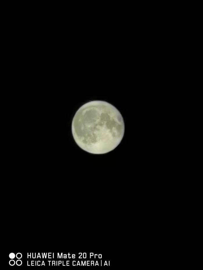 ���^���﹝�ˣ��ͺ��ӂ��f�f����ʮ�����﹝�ā�v�����\����